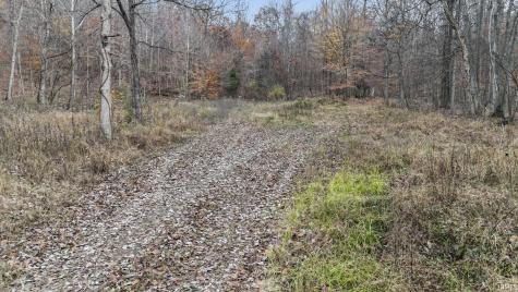 31 Poplar Ridge Springville IN 47462