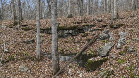 31 Poplar Ridge Springville IN 47462