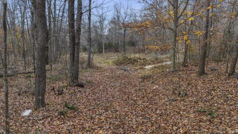 31 Poplar Ridge Springville IN 47462
