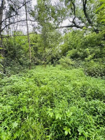0 Mcdaniel Road Terre Haute IN 47802