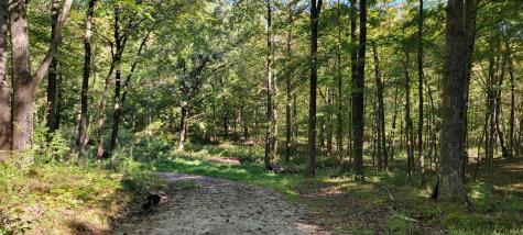 County Rd 900 N Farmersburg IN 47850