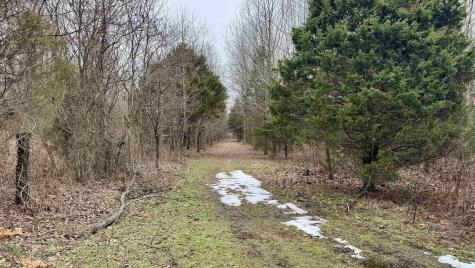 4865 E Co Rd 800 N Orleans IN 47452