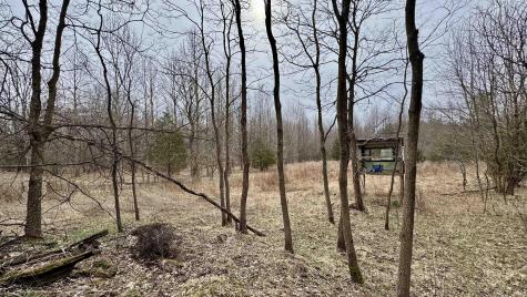 4865 E Co Rd 800 N Orleans IN 47452