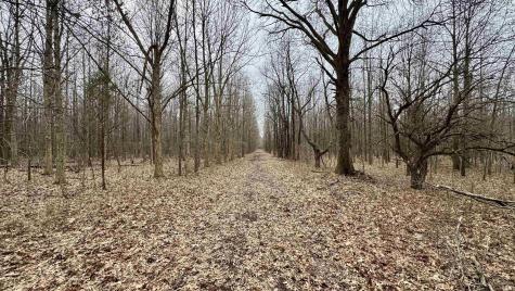 4865 E Co Rd 800 N Orleans IN 47452