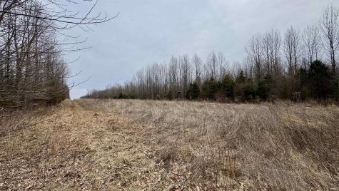 4865 E Co Rd 800 N Orleans IN 47452