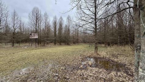 4865 E Co Rd 800 N Orleans IN 47452
