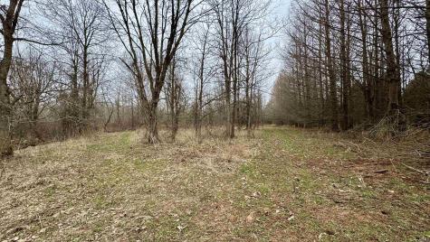 4865 E Co Rd 800 N Orleans IN 47452