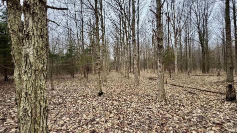 4865 E Co Rd 800 N Orleans IN 47452