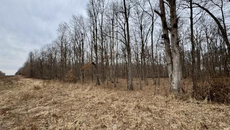 4865 E Co Rd 800 N Orleans IN 47452