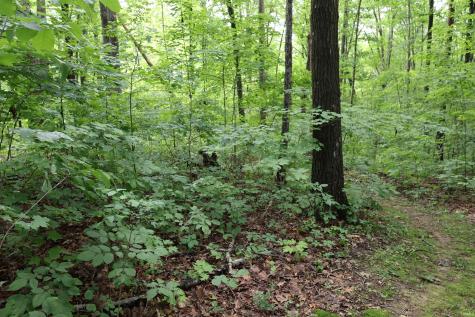 7845 S Old State Road 37 Bloomington IN 47403