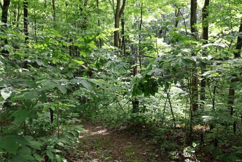 7845 S Old State Road 37 Bloomington IN 47403