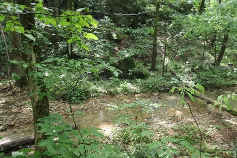 7845 S Old State Road 37 Bloomington IN 47403
