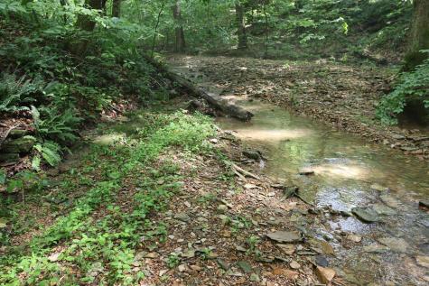 7845 S Old State Road 37 Bloomington IN 47403