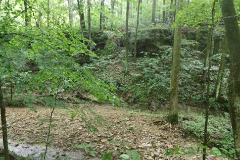 7845 S Old State Road 37 Bloomington IN 47403