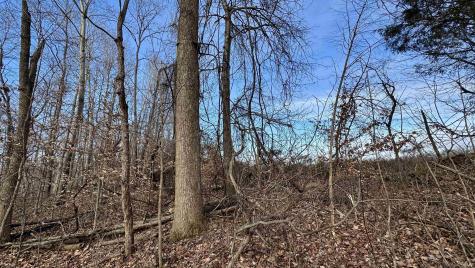 Off Co Rd 200 S French Lick IN 47432