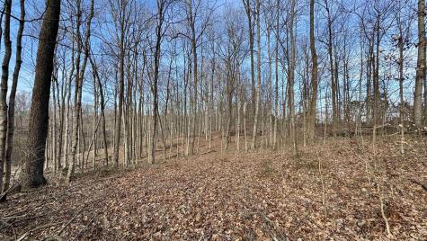 Off Co Rd 200 S French Lick IN 47432