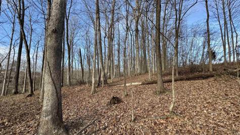 Off Co Rd 200 S French Lick IN 47432