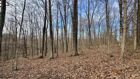 Off Co Rd 200 S French Lick IN 47432