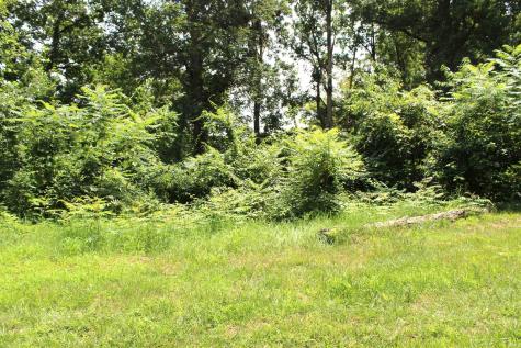 Lots 396 & 397 Ln 415 A Jimmerson Lake Fremont IN 46737