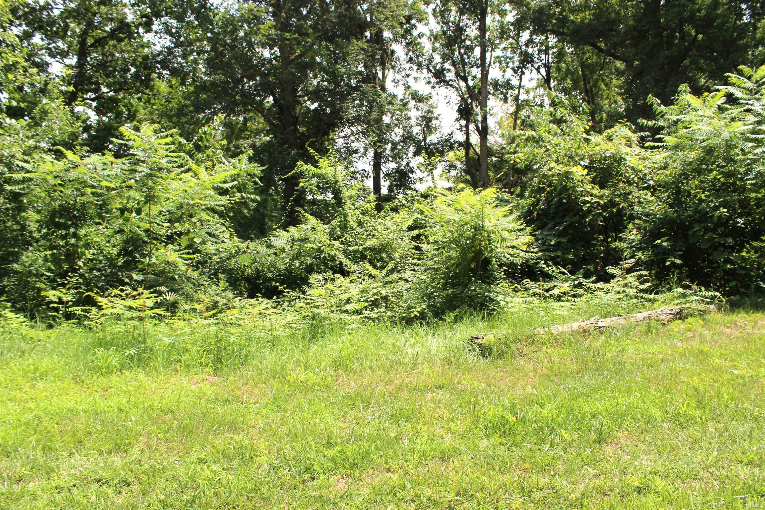 Lots 396 & 397 Ln 415 A Jimmerson Lake Fremont IN 46737