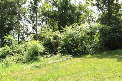 Lots 396 & 397 Ln 415 A Jimmerson Lake Fremont IN 46737