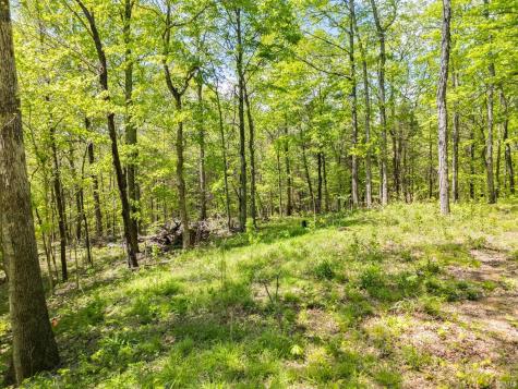 4693 S Calloway Drive Hardinsburg IN 47125