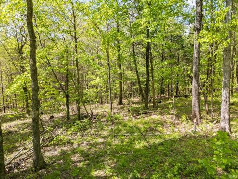 4693 S Calloway Drive Hardinsburg IN 47125