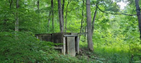 32.34 Acre 8669 Bird Lane Shoals IN 47581