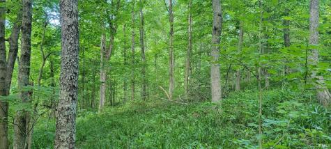 32.34 Acre 8669 Bird Lane Shoals IN 47581
