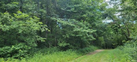 32.34 Acre 8669 Bird Lane Shoals IN 47581