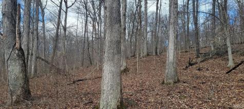 32.34 Acre 8669 Bird Lane Shoals IN 47581
