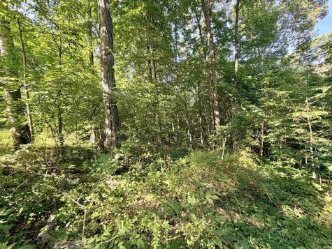 3356 Mangus Road Poland IN 47868