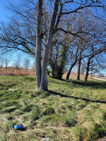 4785 E Wheatland Road Vincennes IN 47591