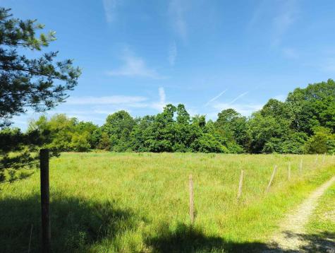 3149 Horse Farm Drive Spencer IN 47460