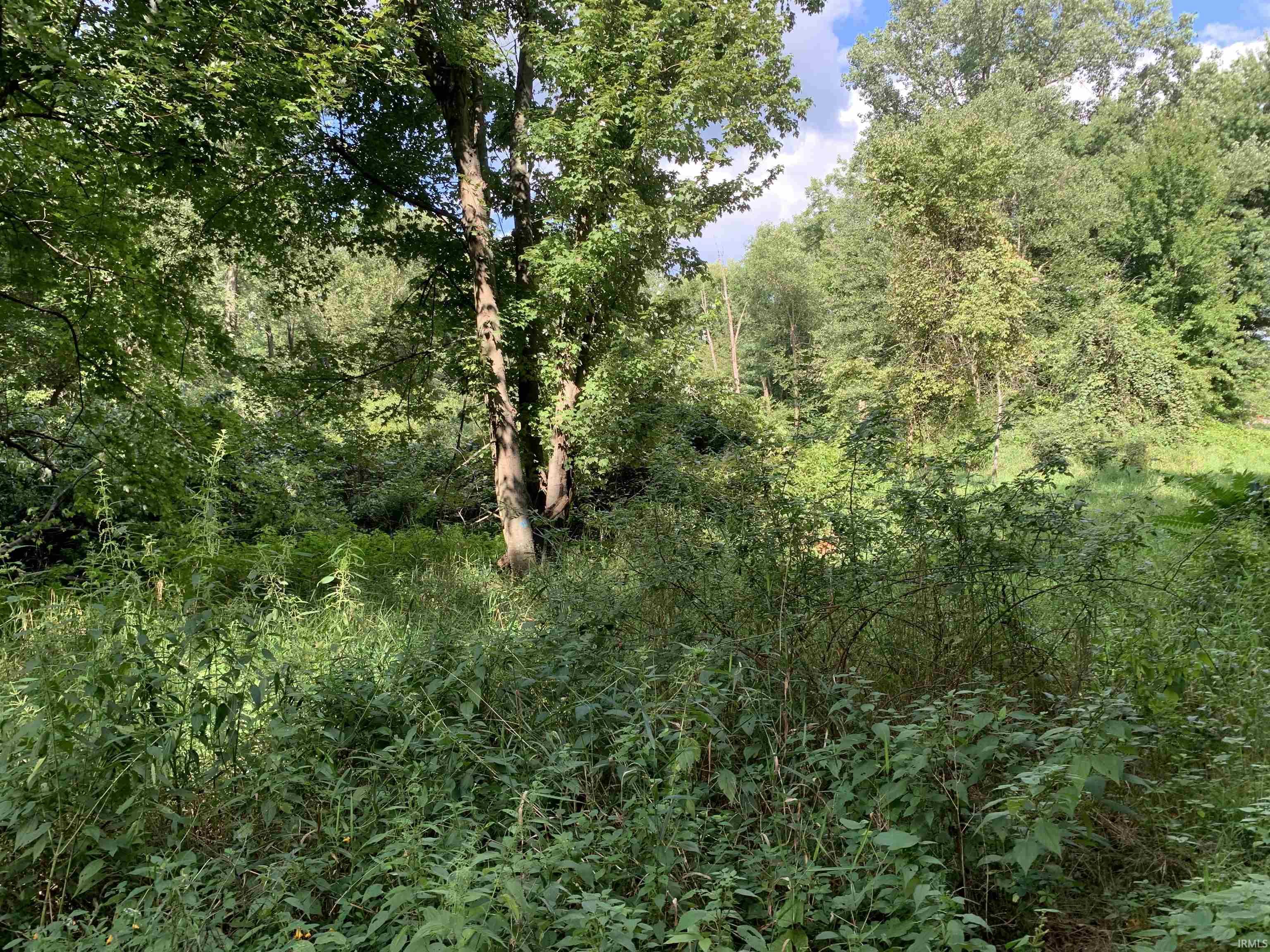 3741 N Thorn Road Walkerton IN 46574