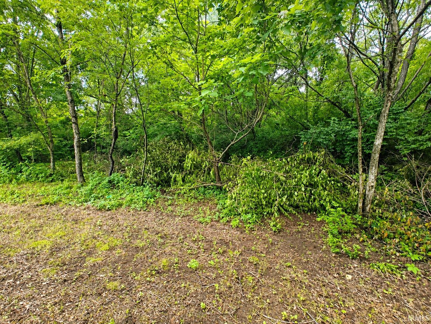 2020 E State Road 10 Knox IN 46534