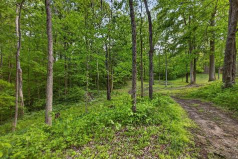 982 E Coonpath Road Spencer IN 47460