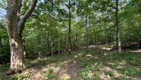 2825 Popcorn Road Springville IN 47462