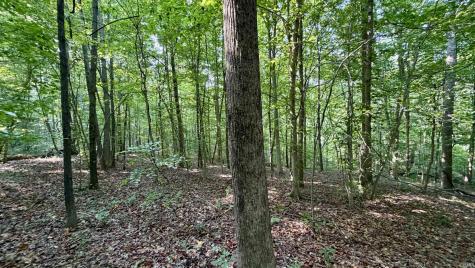 2825 Popcorn Road Springville IN 47462