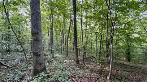 2825 Popcorn Road Springville IN 47462
