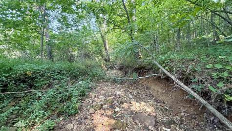 2825 Popcorn Road Springville IN 47462