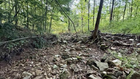 2825 Popcorn Road Springville IN 47462