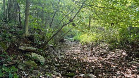 2825 Popcorn Road Springville IN 47462