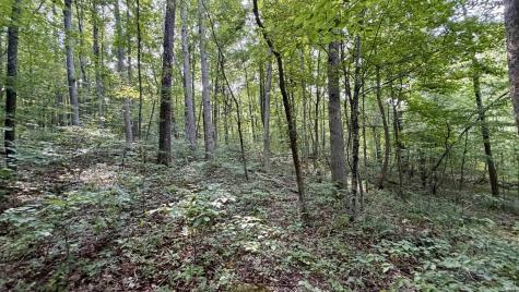 2825 Popcorn Road Springville IN 47462
