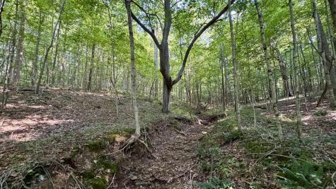 2825 Popcorn Road Springville IN 47462