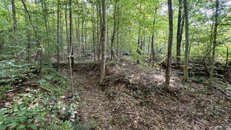 2825 Popcorn Road Springville IN 47462