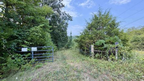 2825 Popcorn Road Springville IN 47462