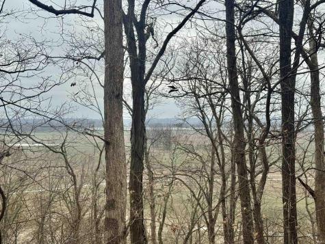 Off Sr 66 Grandview IN 47615