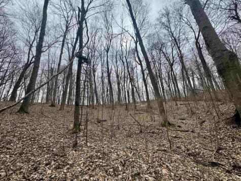Off Sr 66 Grandview IN 47615
