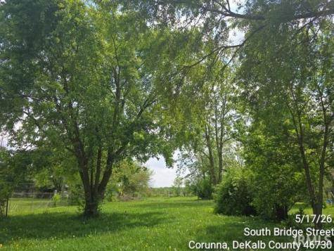 420 S Bridge Street Corunna IN 46730